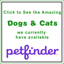 Petfinder