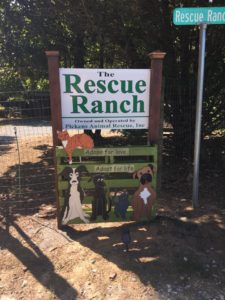 Rescue Ranch