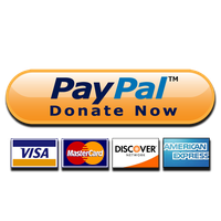 Paypal Donate Button